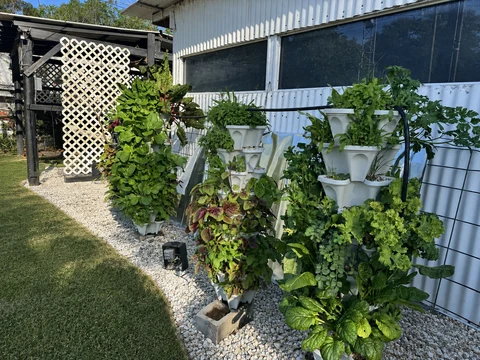Four HydroPip towers growing leafy greens beside the shared reservoir